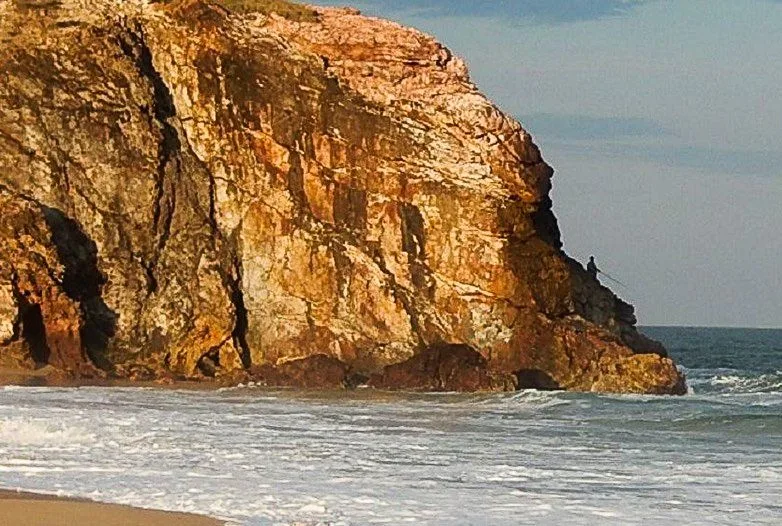 Arrawarra locality photograph from Jetty Plumbing