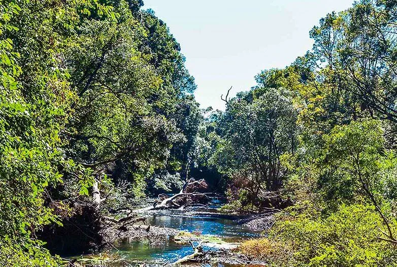 Coramba locality photograph from Jetty Plumbing